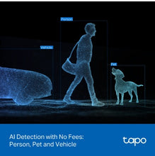 Load image into Gallery viewer, Tapo C545D Outdoor Dual Lens Pan/Tilt Security Camera