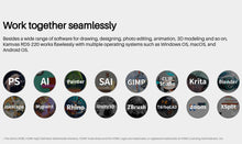 Load image into Gallery viewer, Kamvas 22 2.5K Pen Display Drawing Tablet