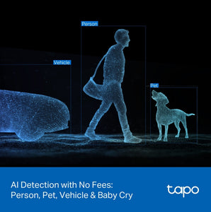 Tapo C246D New Indoor/Outdoor Dual Lens Pan/Tilt Security Camera