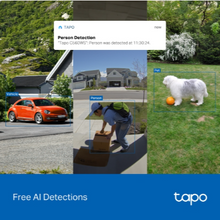 Load image into Gallery viewer, Tapo C560WS Outdoor Pan/Tilt Security Wi-Fi Camera

