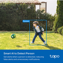 Load image into Gallery viewer, Tapo C410 Smart Wire-Free Indoor/Outdoor Security Camera
